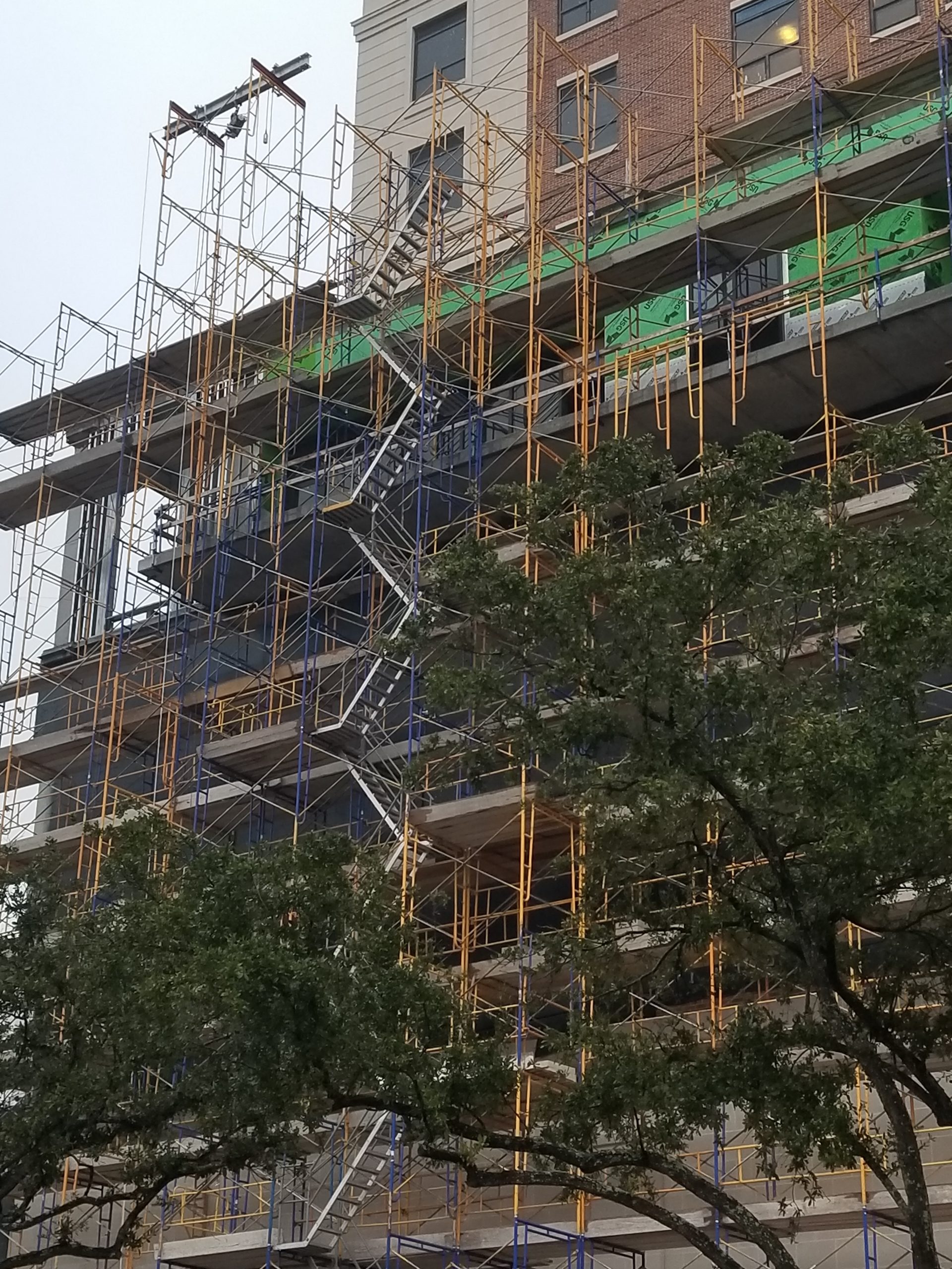 20200113_073856 (2)